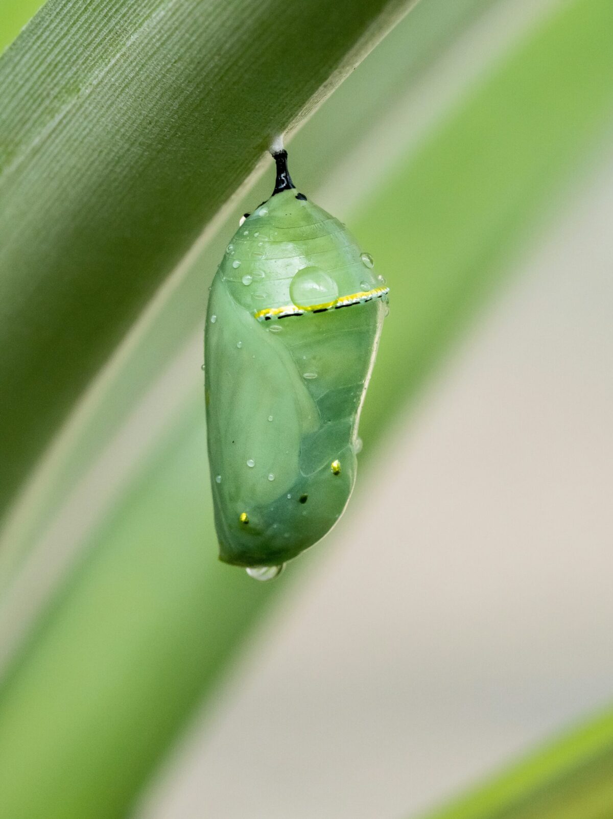 william-warby--IbMv_zPqEM-unsplash